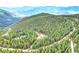 A beautiful aerial view of the home nestled within the forest at 1176 Raven Ridge Rd, Idaho Springs, CO 80452