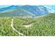 A beautiful aerial view of a forested lot featuring a long driveway and mature trees at 1176 Raven Ridge Rd, Idaho Springs, CO 80452
