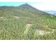 A beautiful aerial view of a forested lot featuring mountain views and mature trees at 1176 Raven Ridge Rd, Idaho Springs, CO 80452