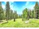 A lush green backyard featuring mature trees and beautiful landscaping at 1176 Raven Ridge Rd, Idaho Springs, CO 80452