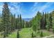 Stunning vista showcasing the mountains and beautiful blue sky through the trees, providing an amazing view at 1176 Raven Ridge Rd, Idaho Springs, CO 80452