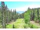 Mountain property featuring a meadow surrounded by forest, with scenic views of the blue mountains at 1176 Raven Ridge Rd, Idaho Springs, CO 80452