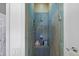 Modern walk-in shower with elegant tiling and a glass door at 728 N Ogden St, Denver, CO 80218