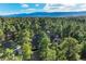 Aerial view of the estate surrounded by forest and stunning mountain backdrop in the distance at 1220 Scarsbrook Ct, Monument, CO 80132