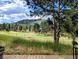 Scenic backyard view with lush greenery, trees, and a glimpse of mountains at 31299 Manitoba Dr, Evergreen, CO 80439