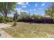 Wide view of backyard with lush greenery, patio area, mature trees, and outdoor space at 765 Iola St, Aurora, CO 80010