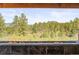 Spectacular view of green trees from the backyard deck with a modern fireplace feature and stone surround at 1988 Lake Dr, Larkspur, CO 80118