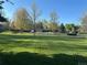 View of a well maintained green lawn with trees that leads to a pool, and fence at 44 Spyglass Dr, Littleton, CO 80123