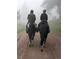 A view of two people horseback riding on a dirt road through a beautiful wooded area, shrouded in fog at 8537 S Doubleheader Hwy, Morrison, CO 80465