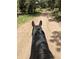 Experience the thrill of horseback riding down a secluded trail with a view of lush vegetation all around at 8537 S Doubleheader Hwy, Morrison, CO 80465