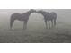 Horses on a green field in foggy weather, conveying a sense of serenity and connection with nature at 8537 S Doubleheader Hwy, Morrison, CO 80465