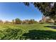 A grassy park features large trees, a picnic table, and a barbeque grill at 4878 E Kentucky Ave # A, Denver, CO 80246
