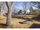 Large tree in the backyard with a tire swing; lovely outdoor space for to play and enjoy the outdoors at 780 Utica Ave, Boulder, CO 80304