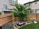 Fenced backyard with landscaped areas and a small tree at 10232 Yampa Ct, Commerce City, CO 80022