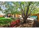 Large backyard featuring a big tree, patio seating, and a red bench, providing a serene outdoor retreat at 5485 S Lakeview St, Littleton, CO 80120