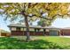 Charming ranch-style home with a well-manicured lawn and an attractive tree at 16291 E 7Th Dr, Aurora, CO 80011