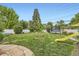 The backyard features a large grass area with a playground, trampoline, and privacy fence at 1000 N Monaco Pkwy, Denver, CO 80220