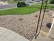 Rock landscape front yard with drought resistant plants, offering low-maintenance appeal at 3540 Niagara St, Denver, CO 80207