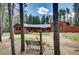 Secluded home surrounded by trees, featuring a metal roof and a charming front bench at 9123 Booker Ln, Conifer, CO 80433
