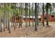 Exterior showing wood siding, large windows, and mature trees at 9123 Booker Ln, Conifer, CO 80433