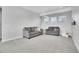 Finished basement recreation area with gray carpet and two sofas at 359 Castlemaine Ct, Castle Rock, CO 80104