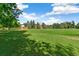 A large grassy field surrounded by trees and distant buildings featuring a landscape view at 1850 S Williams St, Denver, CO 80210