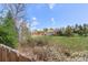 A backyard view with natural landscaping, flowering trees, and a glimpse of the neighborhood at 7888 S Magnolia Way, Centennial, CO 80112