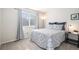 Bright bedroom with a large window, patterned bedding, and neutral color scheme at 10359 Tracewood Dr, Highlands Ranch, CO 80130