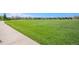 Lush green park with expansive lawn and walking path, ideal for recreation at 10359 Tracewood Dr, Highlands Ranch, CO 80130
