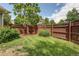 Backyard features a fenced in yard, lawn, and green shrubbery at 3354 Wabash St, Denver, CO 80238