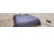 A bedroom featuring white walls, carpeted floors, and blue bedding at 13123 Spica Dr, Lone Tree, CO 80124