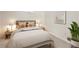 Stylishly furnished bedroom featuring a comfortable bed and coordinated decor, creating a welcoming atmosphere at 13123 Spica Dr, Lone Tree, CO 80124