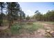 The backyard has mature trees and a pile of logs at 14546 Pine View Rd, Larkspur, CO 80118
