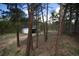 View of a wooded area with an outbuilding visible through the trees, creating a natural, peaceful environment at 14546 Pine View Rd, Larkspur, CO 80118