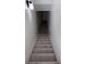 Carpeted stairs leading down to the basement at 14546 Pine View Rd, Larkspur, CO 80118