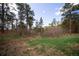 Lush, natural yard with a mix of trees, vegetation, and open space, showing a tranquil outdoor environment at 14546 Pine View Rd, Larkspur, CO 80118
