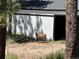 Deer spotted in the yard of the property near a white building at 14546 Pine View Rd, Larkspur, CO 80118