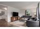 Cozy living room with plush sofas, a modern entertainment center, and a shag rug at 1694 S Elm St, Denver, CO 80222
