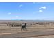 Spacious front yard featuring a horse statue and incredible mountain views at 7600 Patrick Trl, Elizabeth, CO 80107