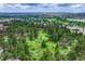 An aerial view of the neighborhood with mature trees, greenery and lush land at 11837 Meadowood Ln, Parker, CO 80138