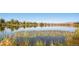 Scenic lake view with lily pads and surrounding greenery creates a tranquil atmosphere at 4883 Perry St, Denver, CO 80212