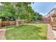 Well-manicured backyard with a wooden fence, mature trees, and lush green lawn at 5075 Weeping Willow Cir, Highlands Ranch, CO 80130