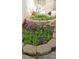 Charming flowerbed with stone borders, lush greenery, and colorful blooms at 11237 W 59Th Ave, Arvada, CO 80004