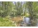 A tranquil creek flows gently through a picturesque landscape with lush greenery and dense trees at 3000 S Newland St, Denver, CO 80227