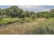 Picturesque river winding through a natural setting with tall grasses, lush trees, and serene landscape at 3000 S Newland St, Denver, CO 80227