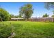 Spacious backyard featuring lush green grass, mature trees, and a charming garden area at 4912 Indiana St, Golden, CO 80403