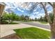 Well-maintained lawn and tree-lined street at 1041 Riddlewood Rd, Highlands Ranch, CO 80129