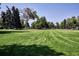 Expansive green lawn in the park featuring mature trees and manicured grass at 2731 W 32Nd Ave, Denver, CO 80211