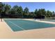 Well-maintained tennis courts with vibrant green and tan surfaces surrounded by mature trees and landscaping at 24733 E Park Crescent Dr, Aurora, CO 80016