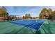 Well-maintained community tennis court with blue surface, fencing, and landscaping at 20550 E Lake Cir, Centennial, CO 80016